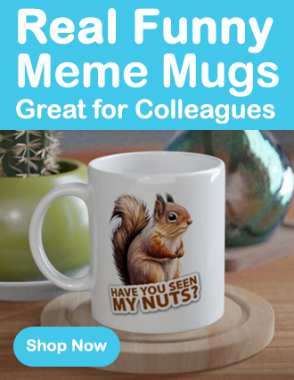 Funny Meme Mugs, great for gifts for colleagues and friends.